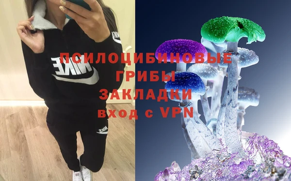 дурь Абдулино