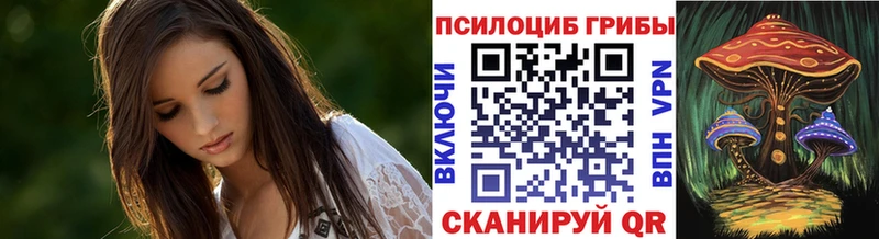Галлюциногенные грибы ЛСД MEGA ТОР нарко площадка какой сайт Алагир